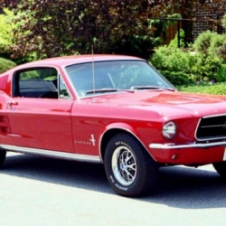 1967 Mustang