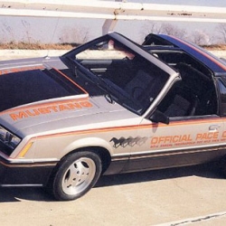 1979 Mustang