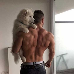 Perros y abdominales en @hotdudeswithdogs