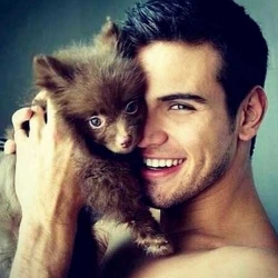 Perros y abdominales en @hotdudeswithdogs
