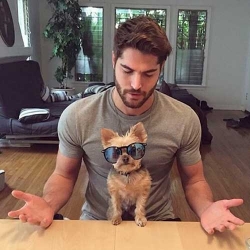 Perros y abdominales en @hotdudeswithdogs