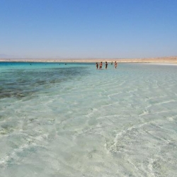 Sharm El Luli (Marsa Alam, Egipto)
