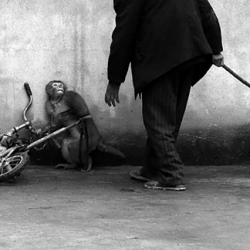 World Press Photo 2015: las imágenes ganadoras